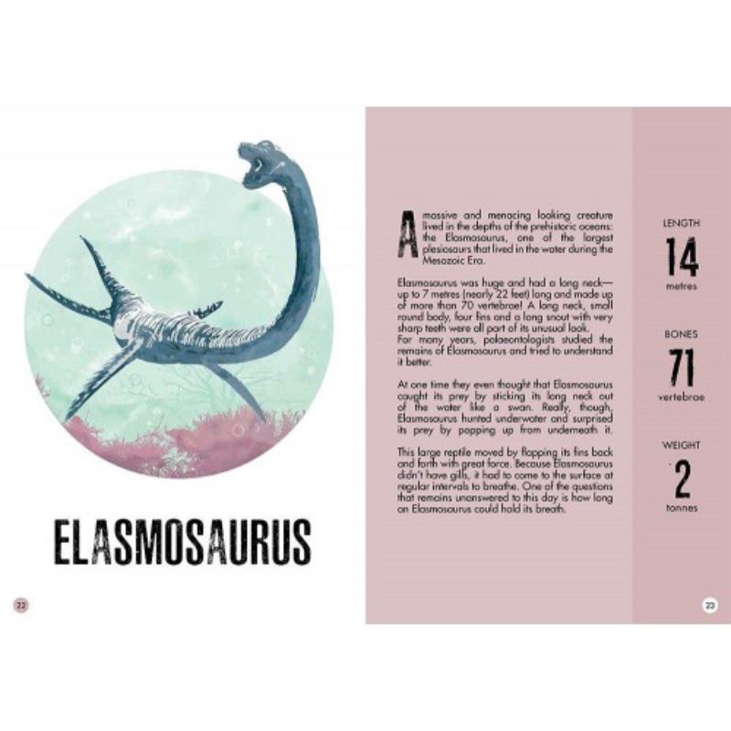 3D Assemble And Book - The Age Of The Dinosaurs