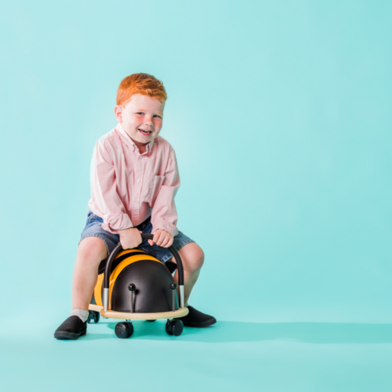 Wheely Bug Small - Bee