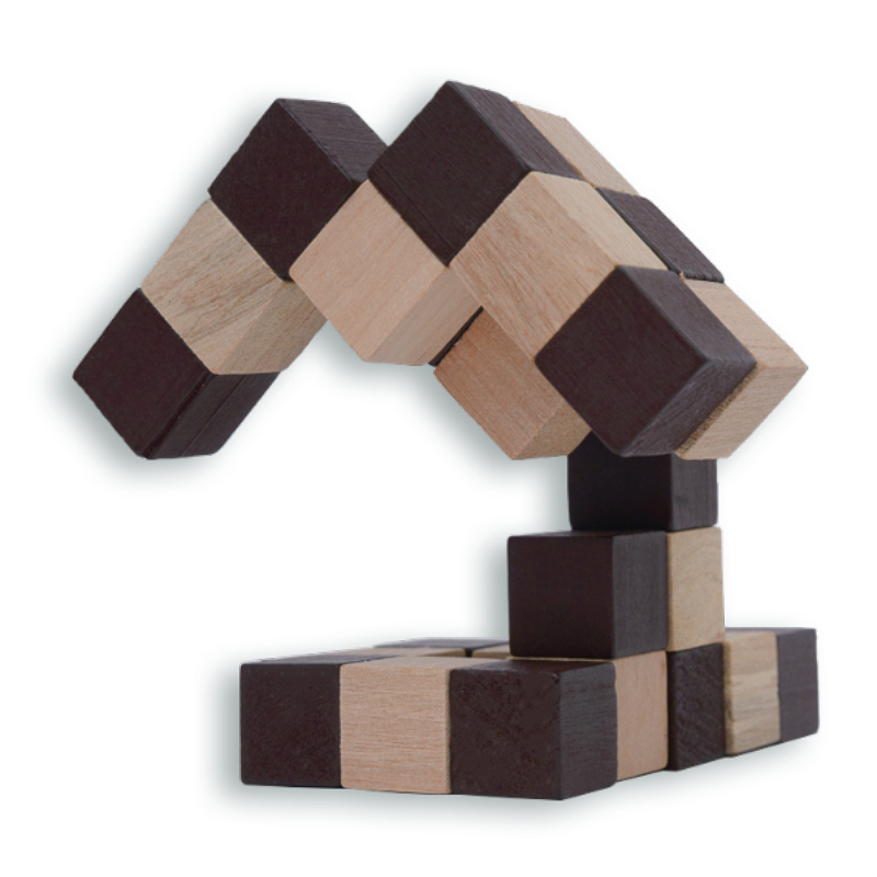 Smart Brain Snake Cube