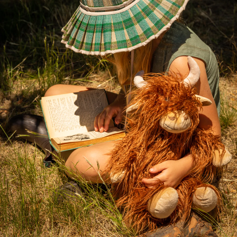 Henry The Highland Cow