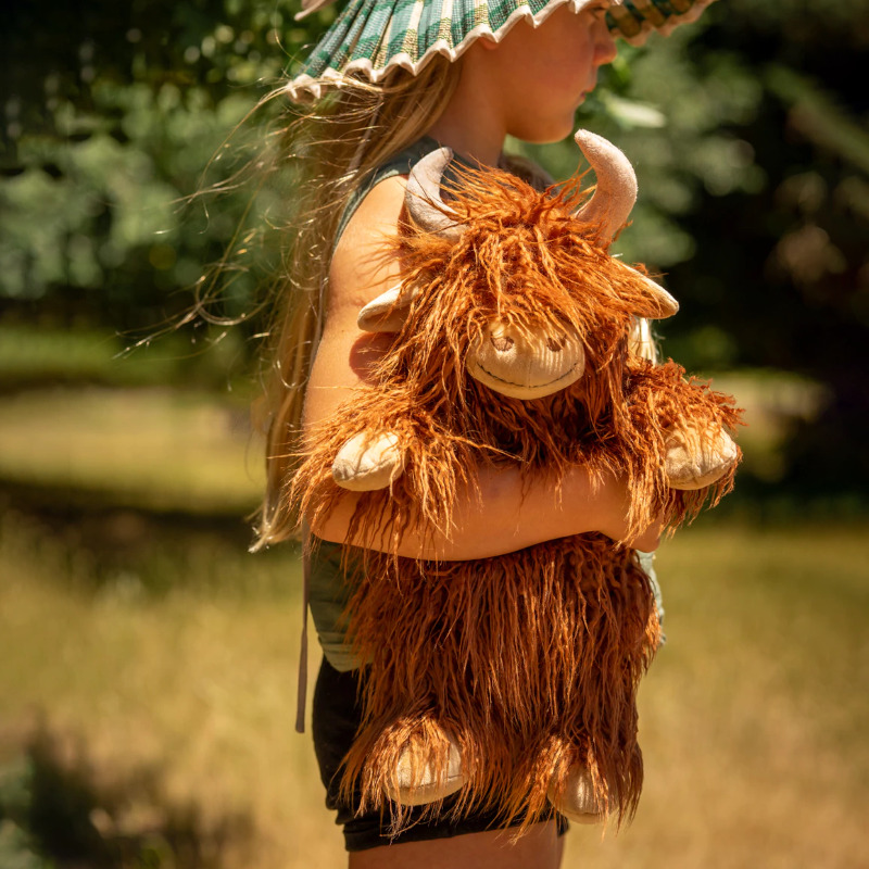 Henry The Highland Cow