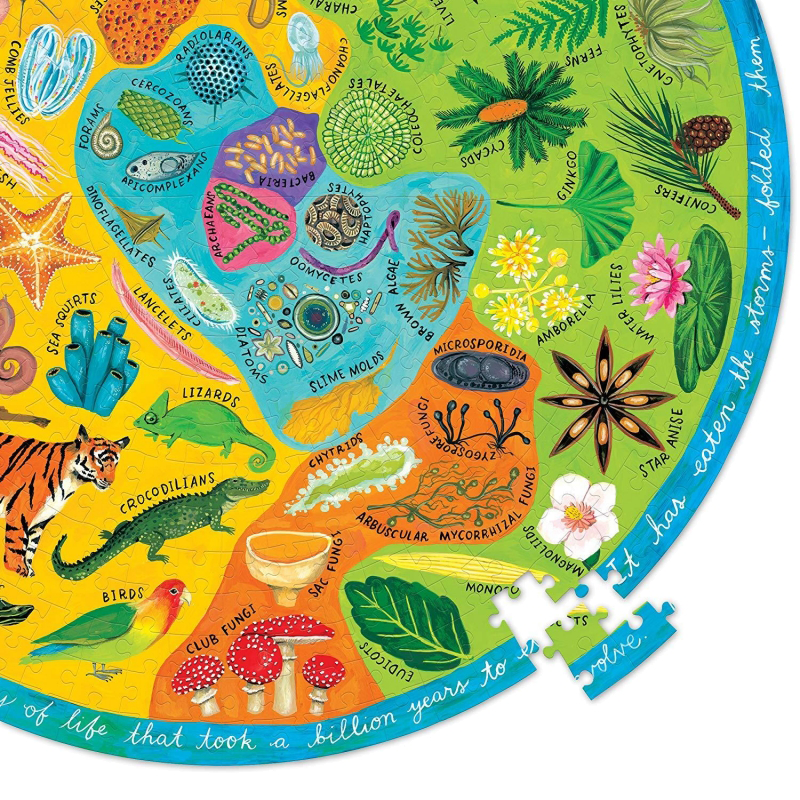 Eeboo 500Pc Round Puzzle - Biodiversity