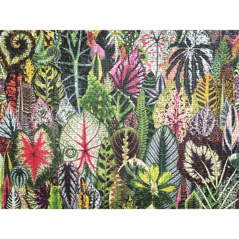 Galison 1000PC Puzzle - House Plant Jungle