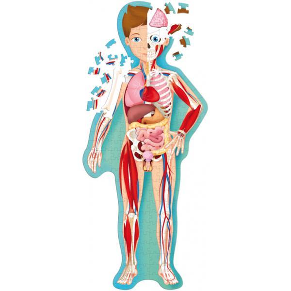 The Human Body Puzzle by sassi in Shorties innerwest