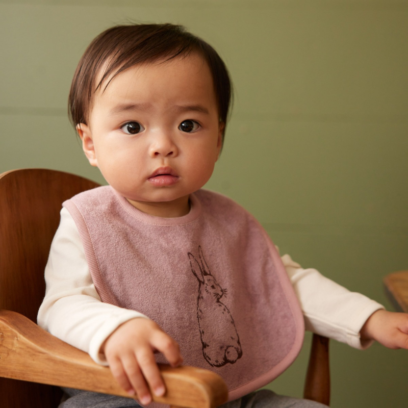 Nature Baby Reversible Bib - Bunny Tales Woodrose