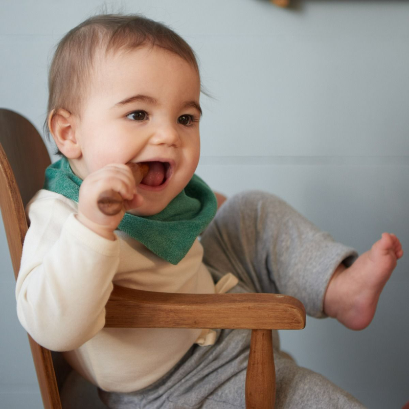 Nature Baby Triangle Bib Terry - Isle Green