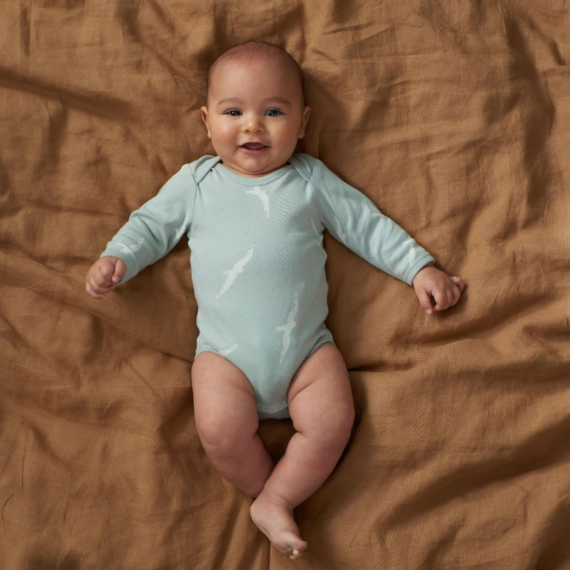 Nature Baby LS Bodysuit - Flying Albatross