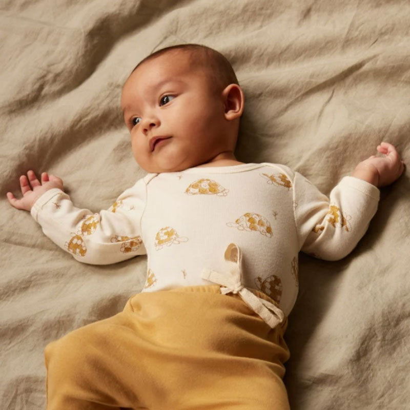 Nature Baby LS Bodysuit - Tortoise
