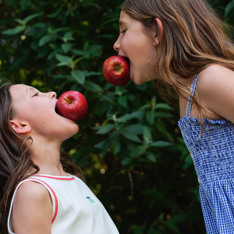 Goldie + Ace Shirred Gingham Apple Dress