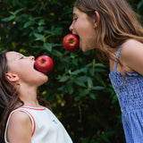 Goldie + Ace Shirred Gingham Apple Dress