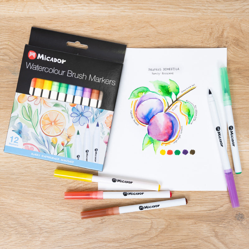 Micador Watercolour Brush Markers