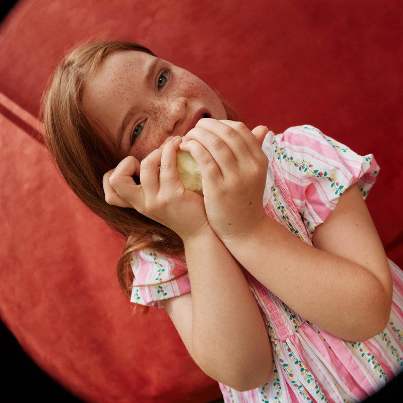 Goldie + Ace Flo Smocked Dress - Strawberry Antique Stripe