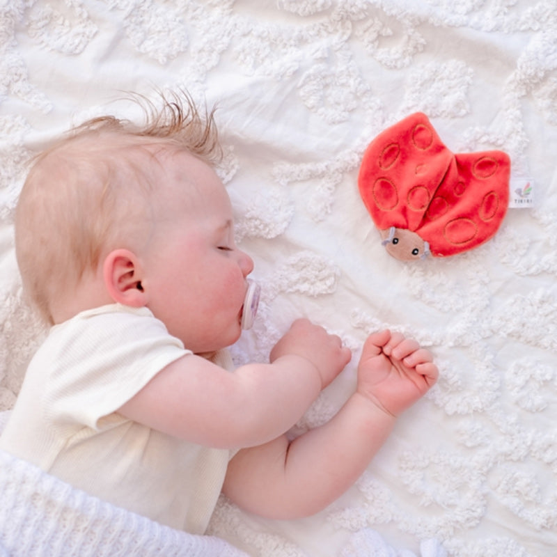 Ladybug Scrunchie Toy