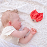 Ladybug Scrunchie Toy