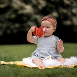 Ladybug Scrunchie Toy