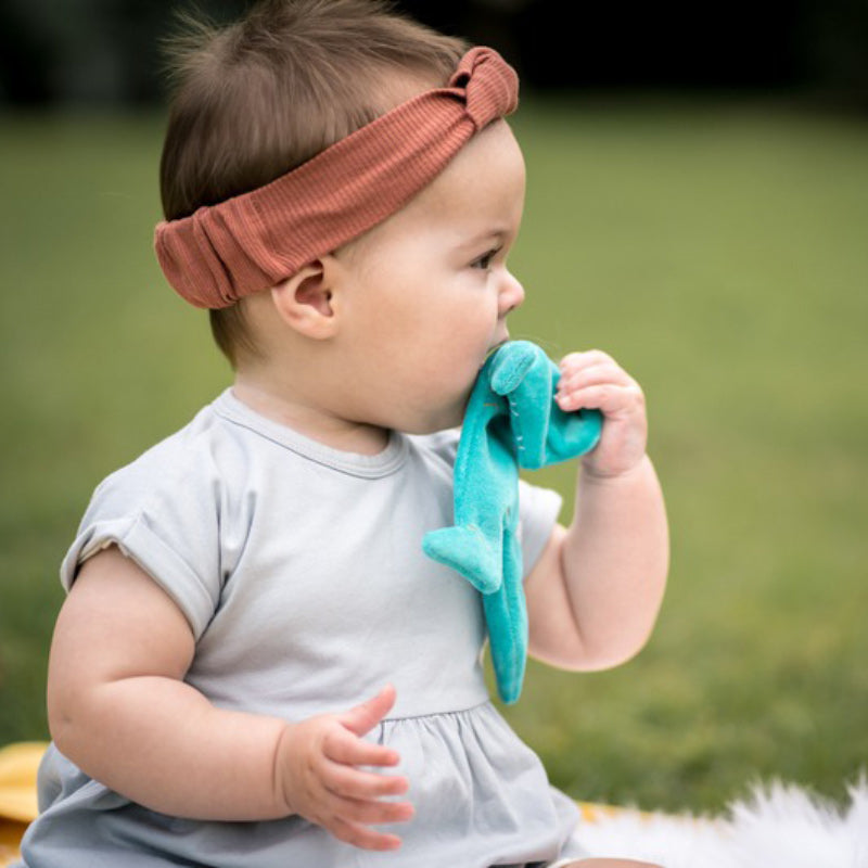 T-Rex Scrunchie Toy
