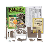 4M Kidzlabs - Roaring T-Rex Skull