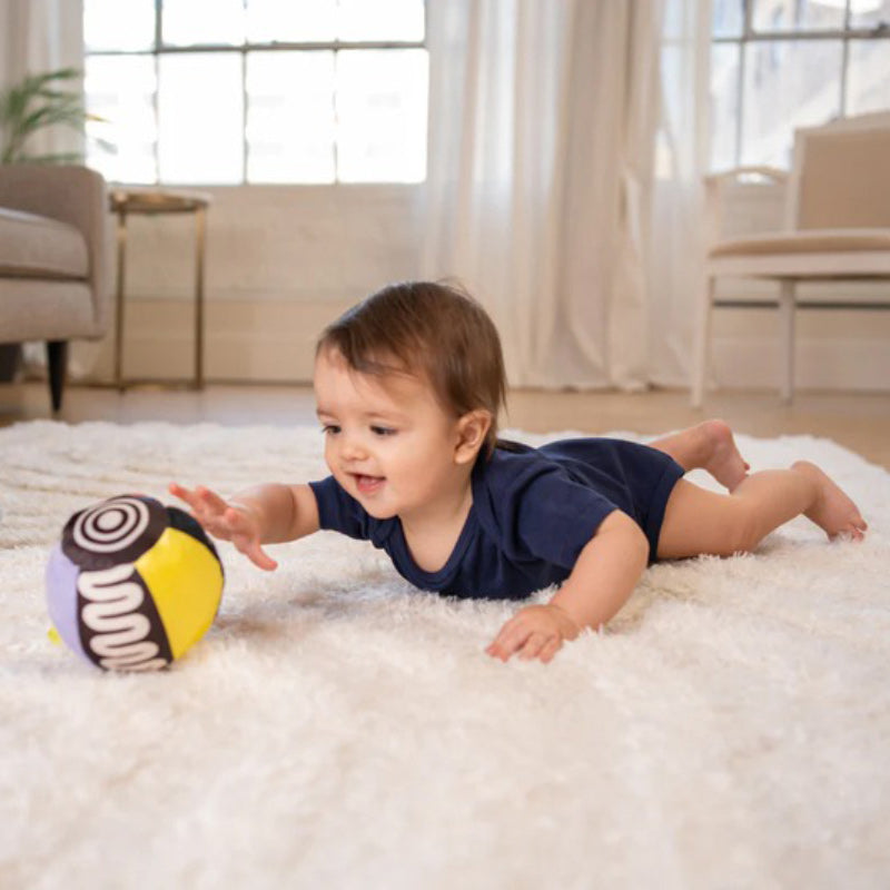 Wimmer Sensory Ball