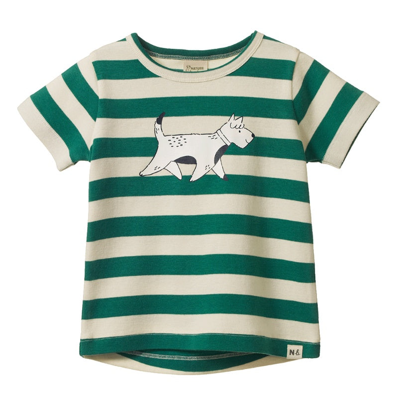Nature Baby River Tee - Dog Walk Peppermint