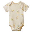Nature Baby Short Sleeve Bodysuit - Fish Fable
