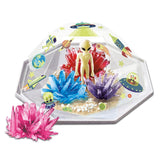 4M - Crystal Growing - Outer Space Terrarium