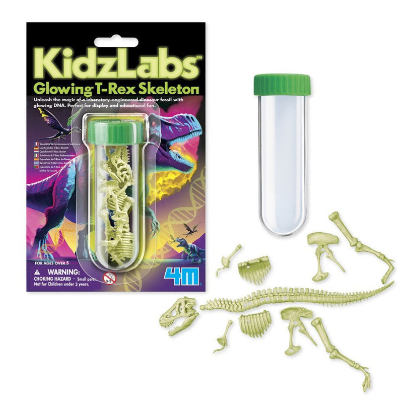 4M Kidzlabs Glowing T-Rex Skeleton