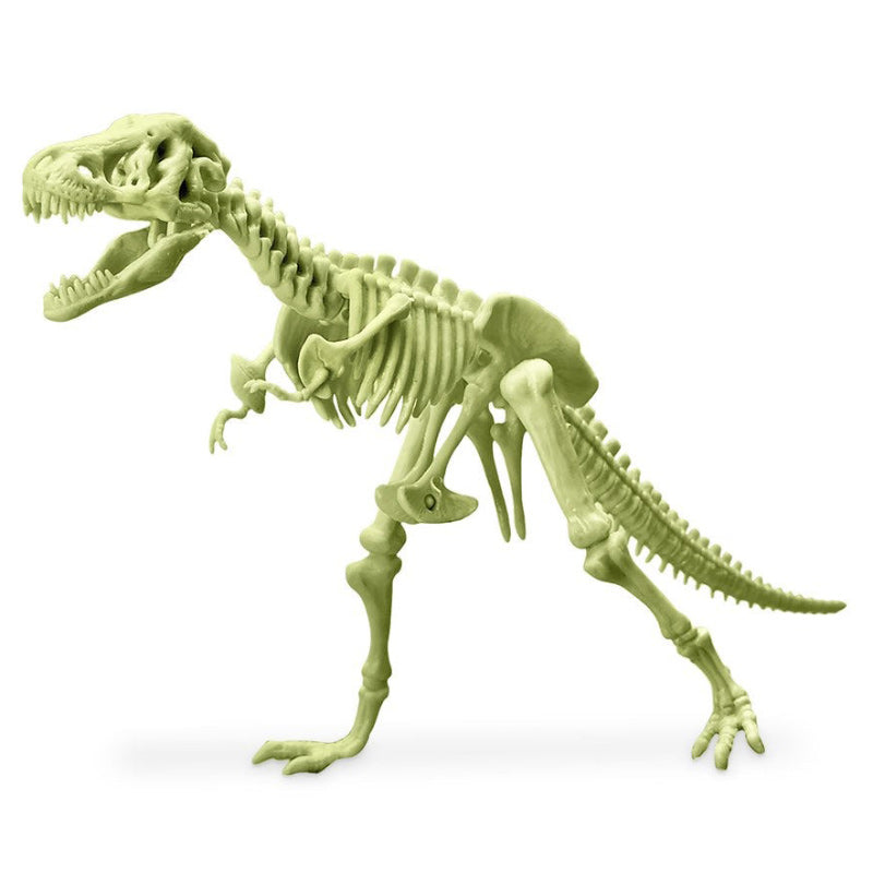 4M Kidzlabs Glowing T-Rex Skeleton