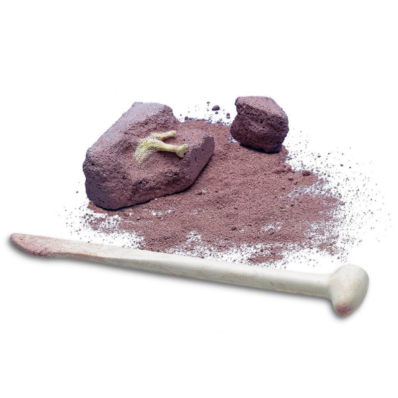 4M Kidzlabs Dig A Dinosaur - Small