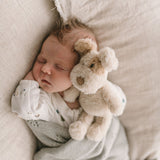 Buddy The Dog Rattle