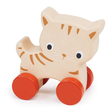 Kitten On Wheels