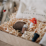 Mini Garden Kit