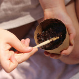 Mini Garden Kit