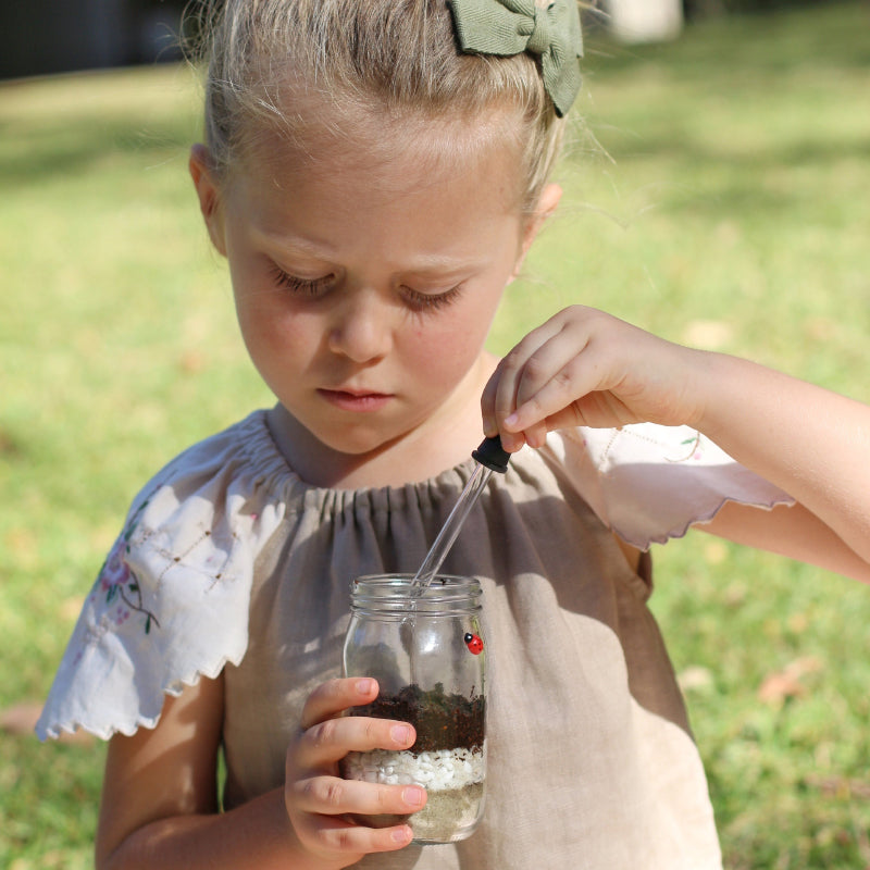 Mini Garden Kit
