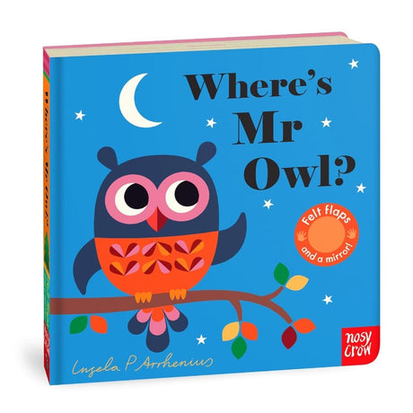 Felt Flaps: Where's Mr Owl