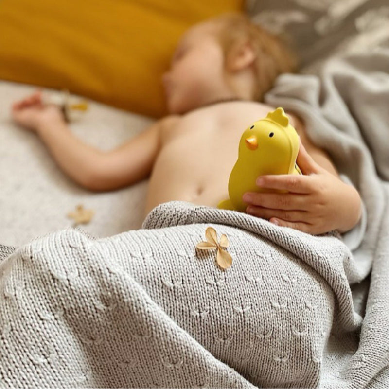 Chicken Rubber Teether