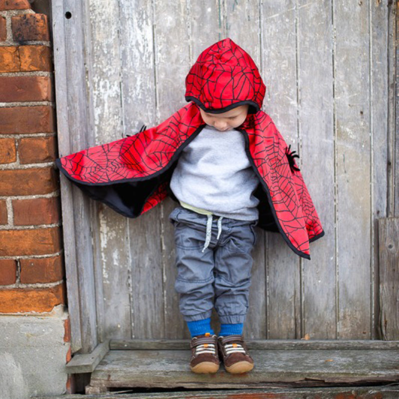 Toddler Reversible Spider & Bat Wings