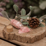 Christmas Wish Fairy