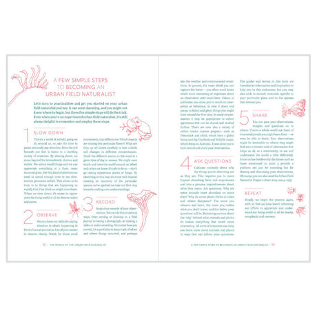 A Guide To The Creatures In Your Neighbourhood