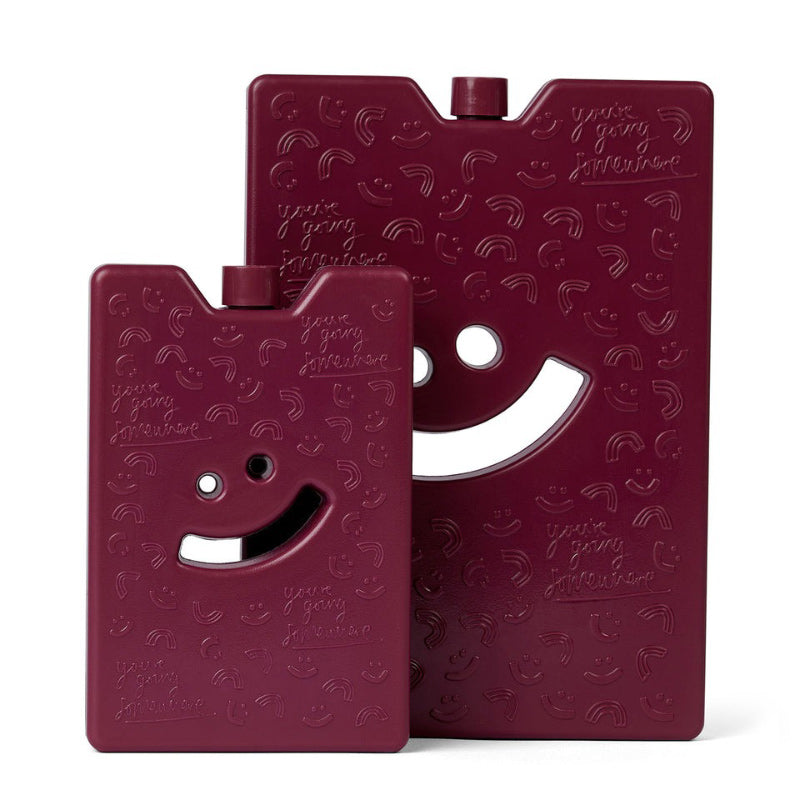 The Somewhere Co. Large Ice Brick - Burgundy