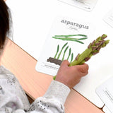 Felt Asparagus Set/2