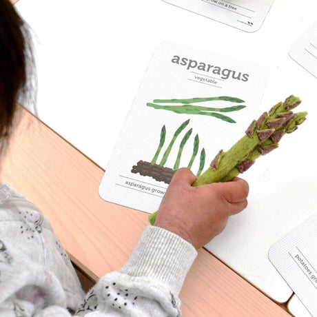 Felt Asparagus Set/2