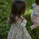 Nature Baby LS Twirl Dress - Grande Briarwood