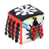 Wimmer Discovery Cube