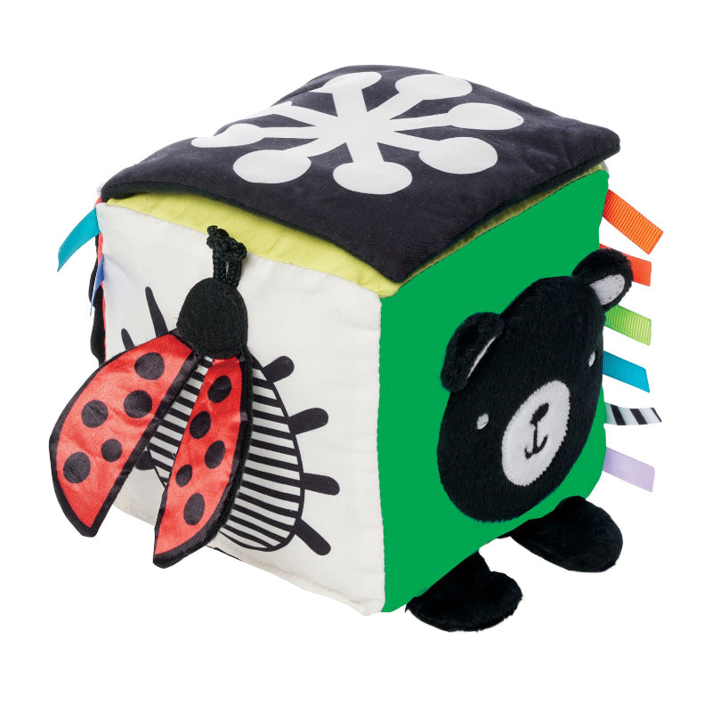 Wimmer Discovery Cube