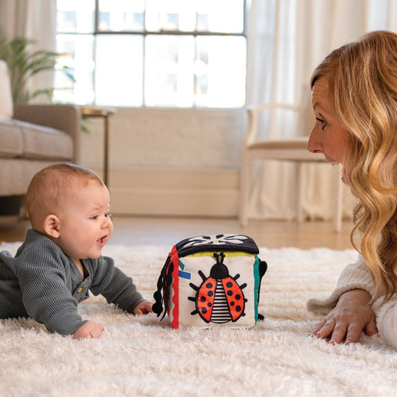 Wimmer Discovery Cube