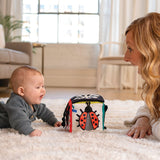 Wimmer Discovery Cube