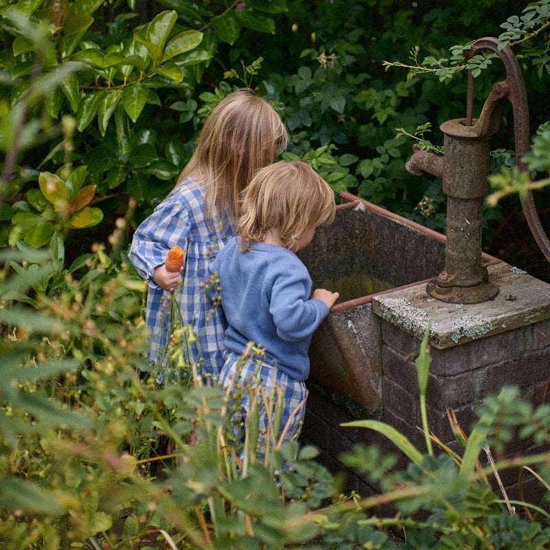 Nature Baby Nora Dress - Bluebelle Check