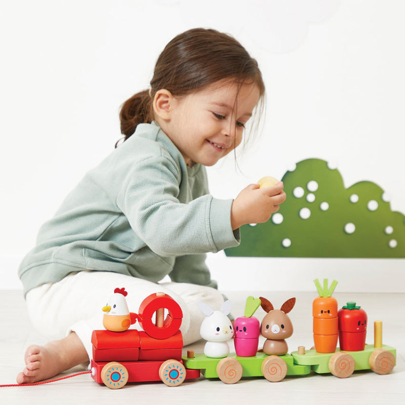 Janod Farmyard Train