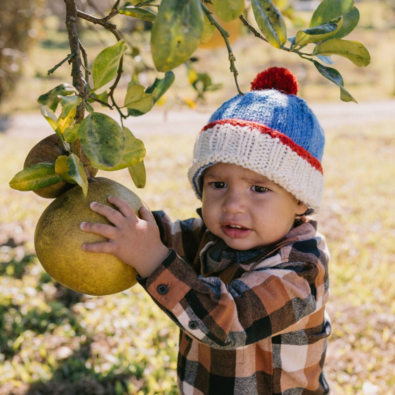 Acorn Teddy Beanie - Blue/Red