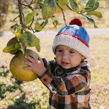 Acorn Teddy Beanie - Blue/Red